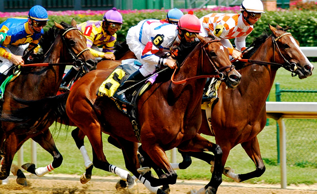 kentucky derby winners