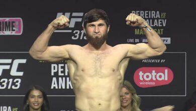 UFC Light Heavyweight Magomed Ankalaev